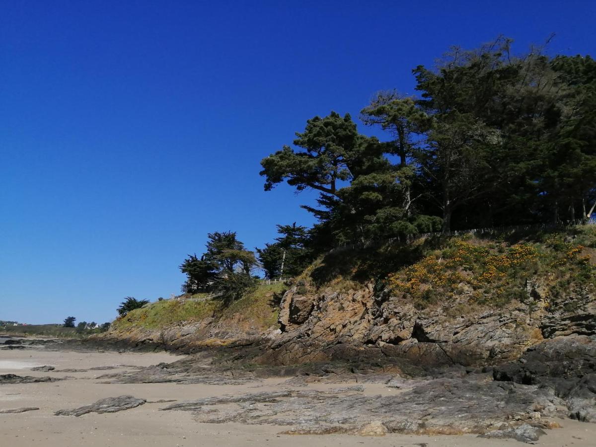Appartement Saint-Malo 800M De La Plage المظهر الخارجي الصورة